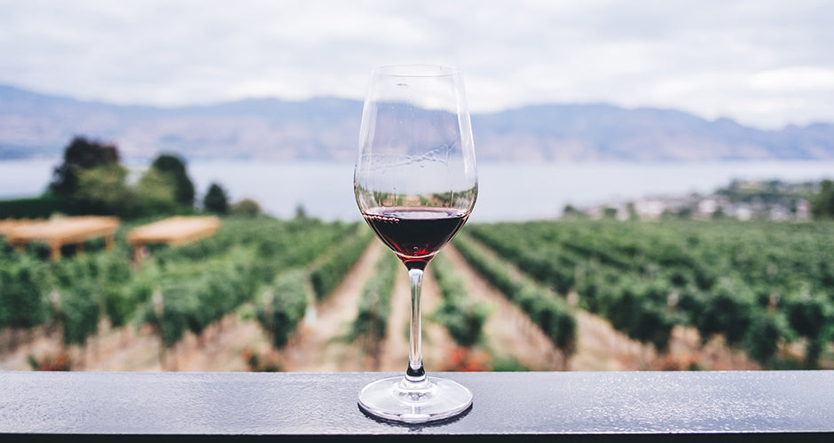 The Best Valle de Guadalupe Wineries 