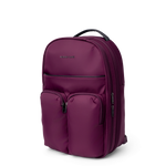 Venetian Violet
