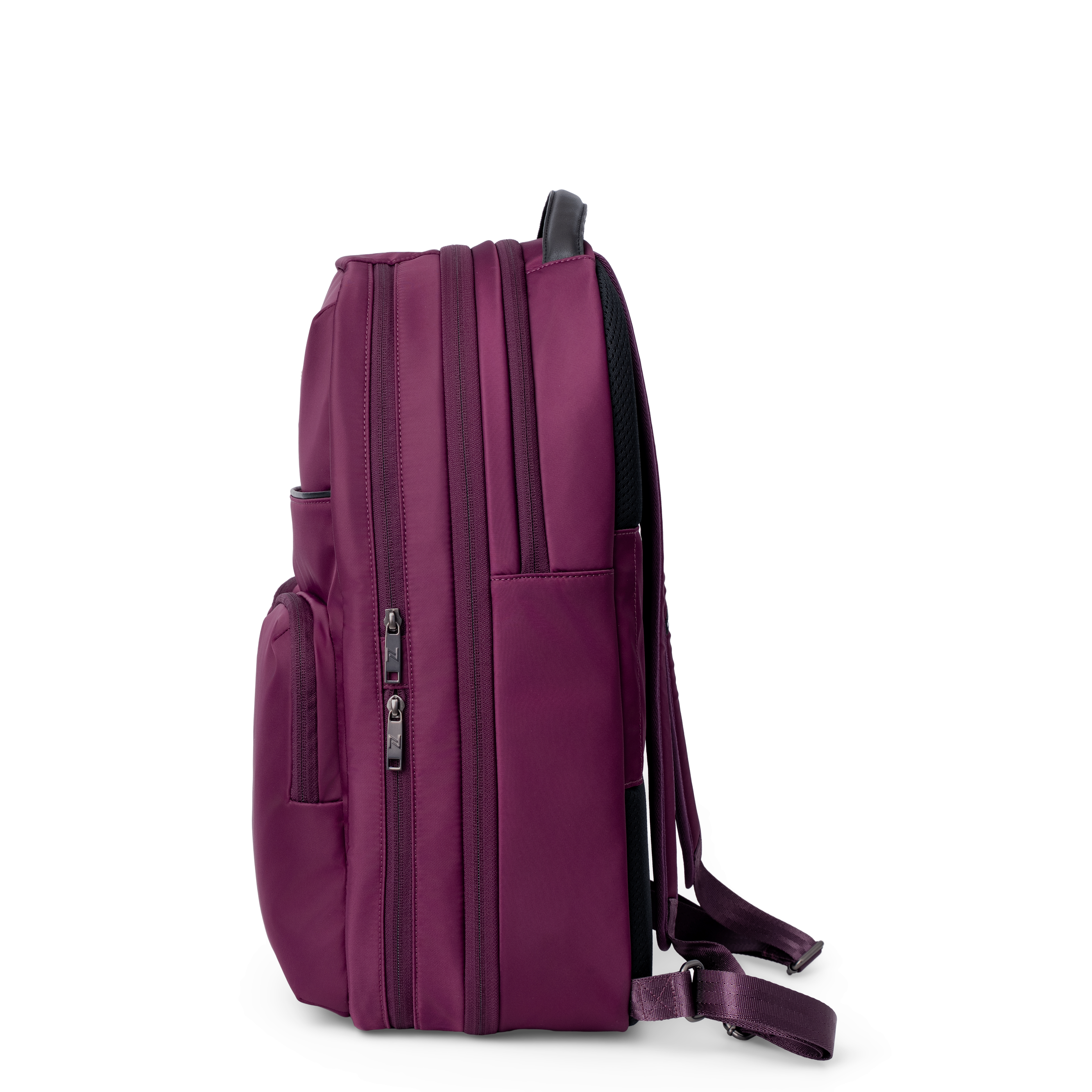Naval Blue / Venetian Violet