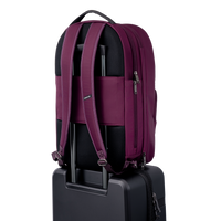 Venetian Violet / Gun Metal